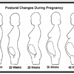 Ukazanie zmiany w układzie ruchu kobiety w ciąży